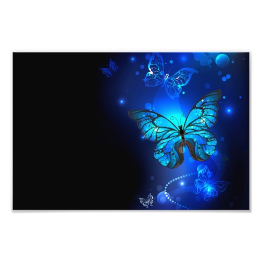 Morpho Butterfly in the Dark Background Fotodruck (Vorne)