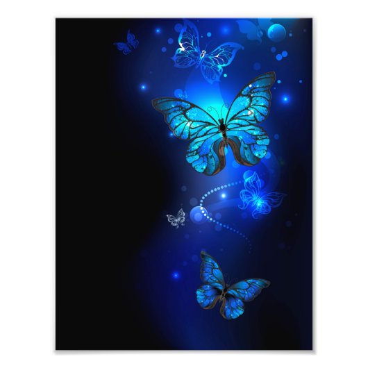 Morpho Butterfly in the Dark Background Fotodruck (Vorne)