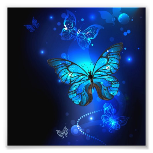 Morpho Butterfly in the Dark Background Fotodruck (Vorne)