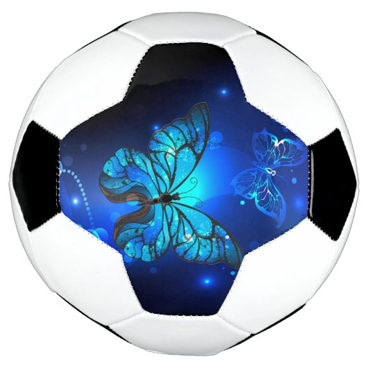 Morpho Butterfly in the Dark Background Fußball (Gedreht)