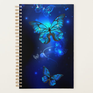 Morpho Butterfly in the Dark Background Planer