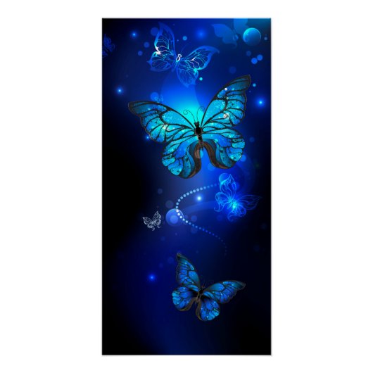 Morpho Butterfly in the Dark Background Poster (Vorderseite)