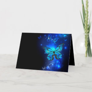 Morpho Butterfly in the Dark Background Programm