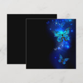 Morpho Butterfly in the Dark Background Programm (Vorne/Hinten)