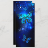 Morpho Butterfly in the Dark Background Programm (Vorne/Hinten)