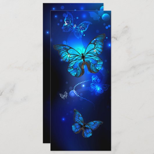 Morpho Butterfly in the Dark Background Programm (Vorne/Hinten)
