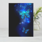 Morpho Butterfly in the Dark Background Programm (Stehend Vorderseite)