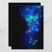 Morpho Butterfly in the Dark Background Programm (Vorne/Hinten)