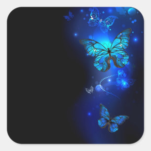 Morpho Butterfly in the Dark Background Quadratischer Aufkleber