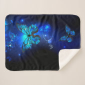 Morpho Butterfly in the Dark Background Sherpadecke (Vorderseite (Horizontal))