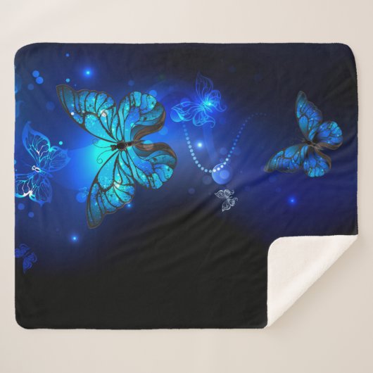 Morpho Butterfly in the Dark Background Sherpadecke (Vorderseite (Horizontal))