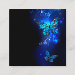 Morpho Butterfly in the Dark Background Telefonnummerkarte