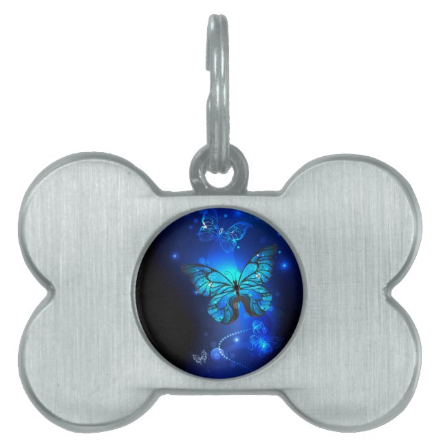 Morpho Butterfly in the Dark Background Tiermarke (Vorderseite)