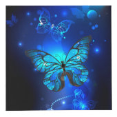 Morpho Butterfly in the Dark Background Würfel (Vorderseite)