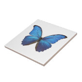 MORPHO DIDIUS D FLIESE (Seite)