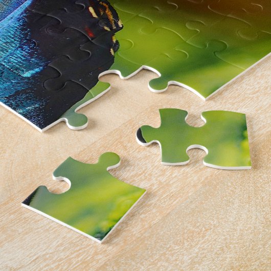 Morpho Peleides Butterfly. Puzzle (Seite)