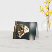 Morpho peleides Card Karte (Gelbe Blume)