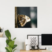 Morpho peleides Print Poster (Heimbüro)