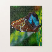 Morpho Peleides Schmetterling. Puzzle (Vertikal)