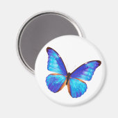 Morpho rhetenor magnet (Vorderseite/Rückseite)