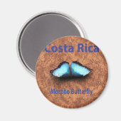 Morpho-Schmetterling Costa Rica Magnet (Vorderseite/Rückseite)
