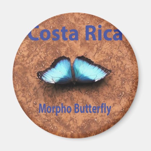 Morpho-Schmetterling Costa Rica Magnet (Vorne)