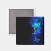 Morpho-Schmetterling im dunklen Hintergrund Magnet (Vorderseite/Rückseite)