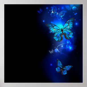 Morpho-Schmetterling im dunklen Hintergrund Poster