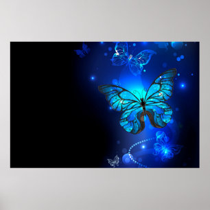 Morpho-Schmetterling im dunklen Hintergrund Poster
