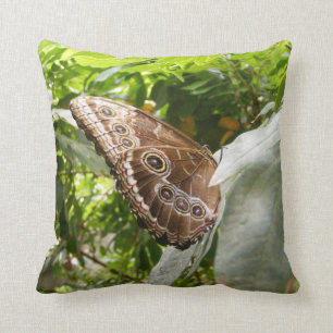 Morpho Schmetterling Kissen