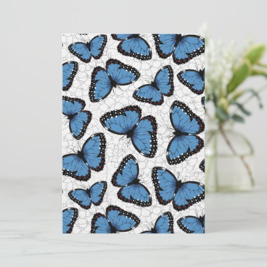 Morpho-Schmetterlinge (Stehend Vorderseite)