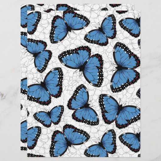 Morpho-Schmetterlinge (Vorne/Hinten)