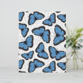 Morpho-Schmetterlinge (Stehend Vorderseite)