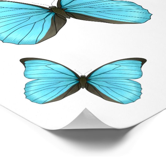 Morpho-Schmetterlinge Cartoon-Abbildung Poster (Ecke)