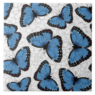 Morpho-Schmetterlinge Fliese