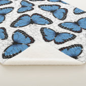 Morpho-Schmetterlinge Sherpadecke (3/4)