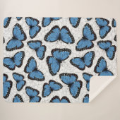 Morpho-Schmetterlinge Sherpadecke (Vorderseite (Horizontal))