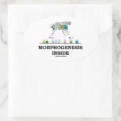 Morphogenese in Drosophila Fruchtfliegengene Ovaler Aufkleber (Tasche)