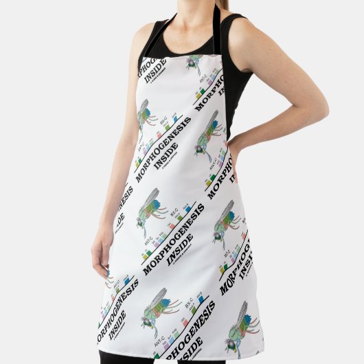 Morphogenese in Drosophila Fruchtfliegengene Schürze (InSitu)