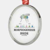 Morphogenese in Drosophila Fruchtfliegengene Silbernes Ornament (Links)