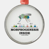 Morphogenese in Drosophila Fruchtfliegengene Silbernes Ornament (Vorne)