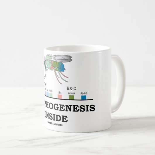Morphogenese-Innere Kaffeetasse (VorderseiteRechts)