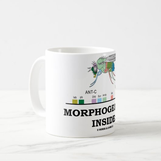 Morphogenese-Innere Kaffeetasse (Vorderseite Links)