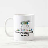 Morphogenese-Innere Kaffeetasse (Links)