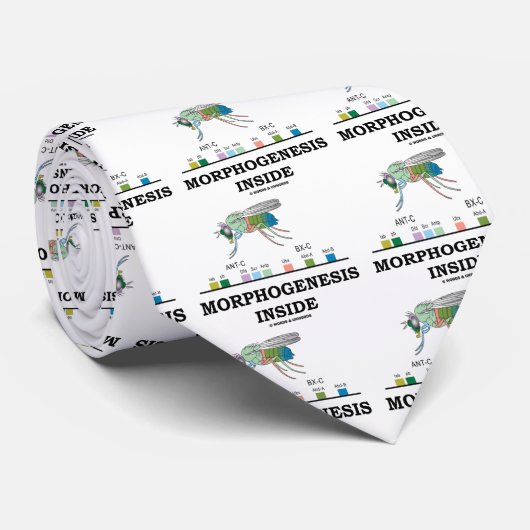 Morphogenese-Innere Krawatte (Gerollt)