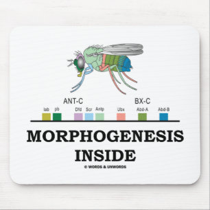 Morphogenese Inside (Fruchtfliege Drosophila-Gene) Mousepad