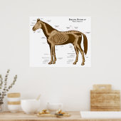 Morphologie und Lokomotive-System eines Pferdes Poster (Küche)