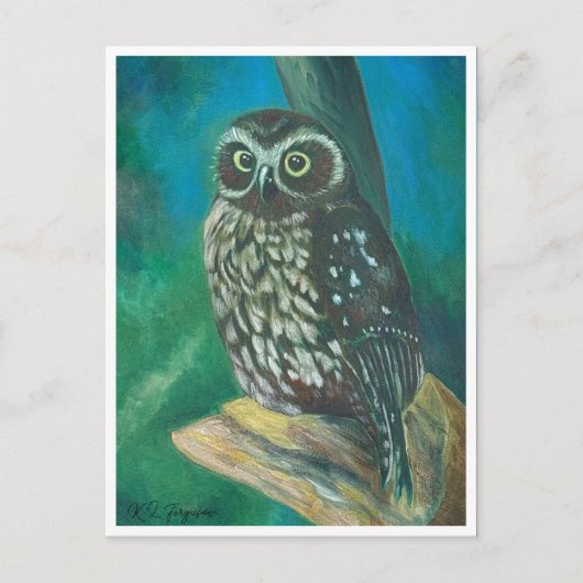 Morpore Owl Post Card Postkarte (Vorderseite)