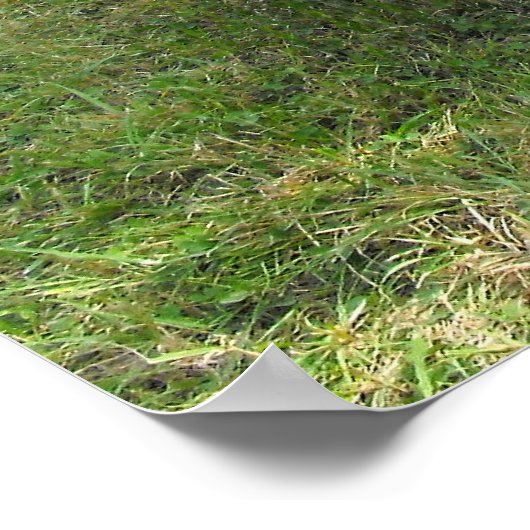 Morris 8 Vintage Poster (Ecke)