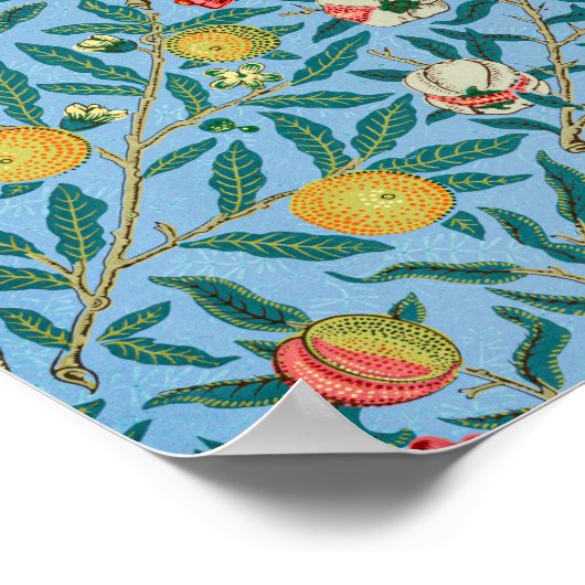 Morris - Four Fruits Poster (Ecke)